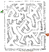 maze